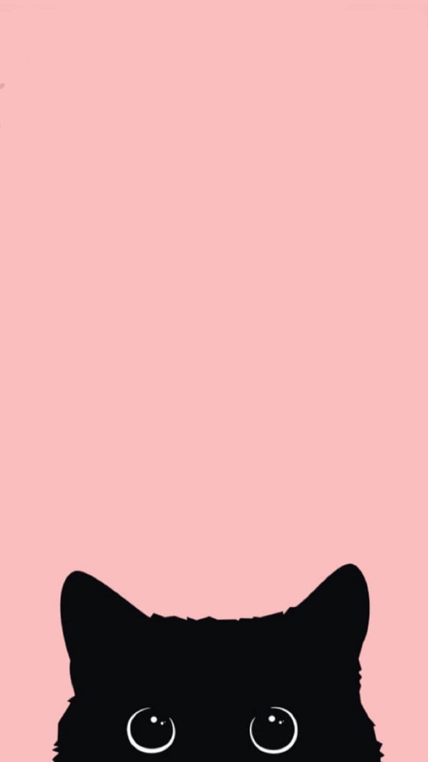 Розова котка - , розов котешки фон върху прилеп, котешка розова каваи HD тапет за телефон