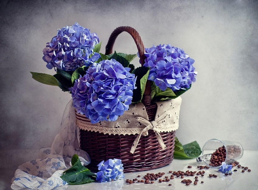 Blumen, Kaffee, Korb, Hortensie, Schal, Streuung, Placer HD-Hintergrundbild