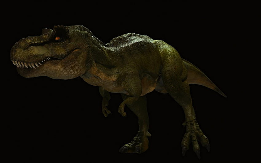 T-Rex, dinosauro, nero, fantasia Sfondo HD