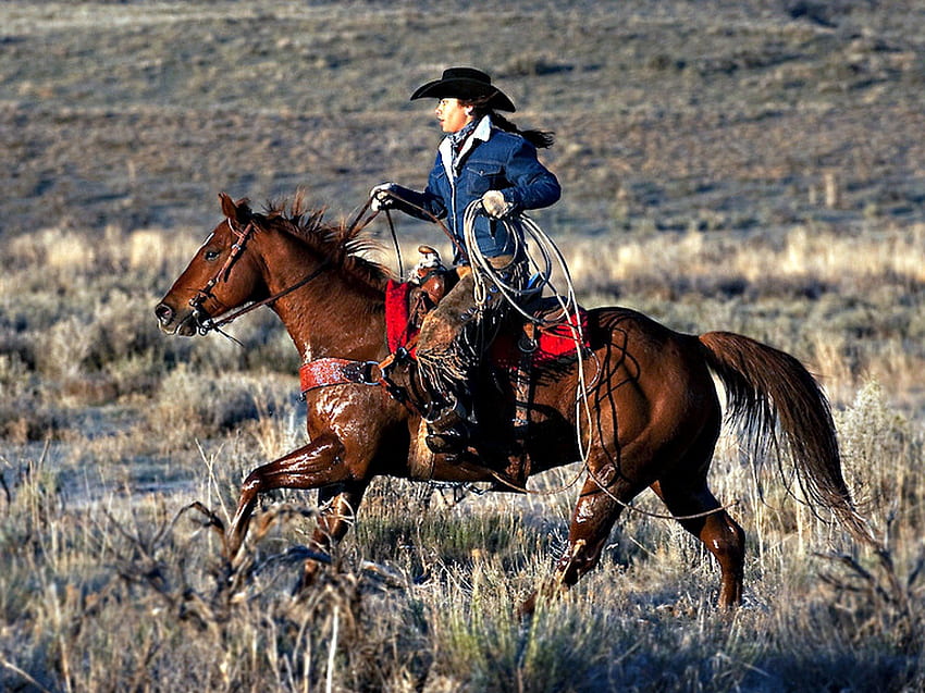 Prawdziwa kowbojka na wybiegu, jazda konna, koń, kowbojka, kowbojski kapelusz Tapeta HD