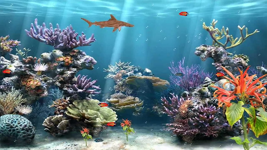 Коралов риф Аквариум Анимиран, движещ се под вода HD тапет
