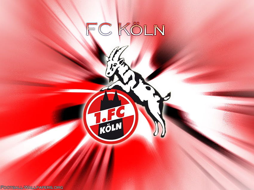 Football Soccer Fc Köln Koln Hd Wallpaper Pxfuel 