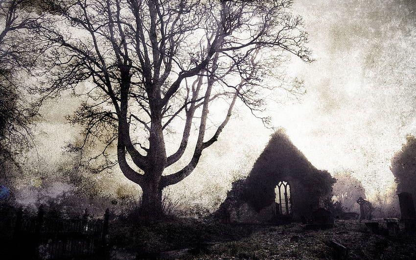 Tree Cemetery gothic buildings ruins cross landscapes [] for your , Mobile & Tablet. Explore Dark Graveyard . Creepy Graveyard , Spooky Graveyard , Graveyard, Scary Cross HD wallpaper