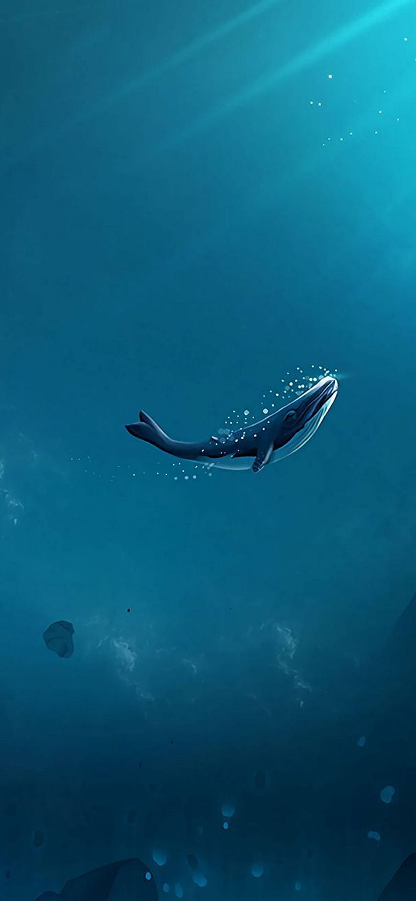 de iPhone ultra minimalista de ballena ⋆ Traxzee, tiburón minimalista fondo de pantalla del teléfono