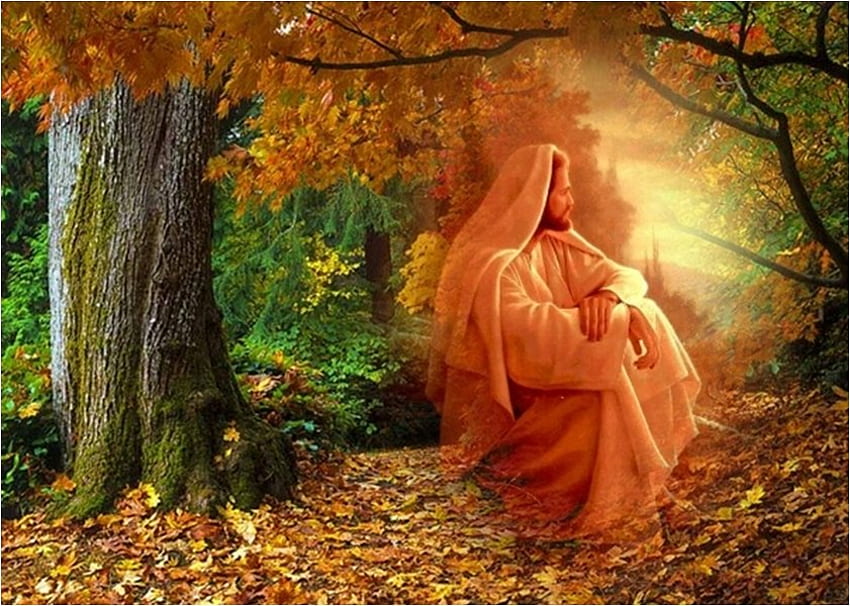 การทำสมาธิ พระเจ้า พระเยซู ฤดูใบไม้ร่วง คริสต์ ป่า ศาสนา ศาสนาคริสต์ ต้นไม้ วอลล์เปเปอร์ HD