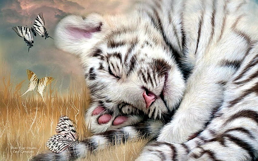 white tiger, butterflies, white, tiger, animals HD wallpaper