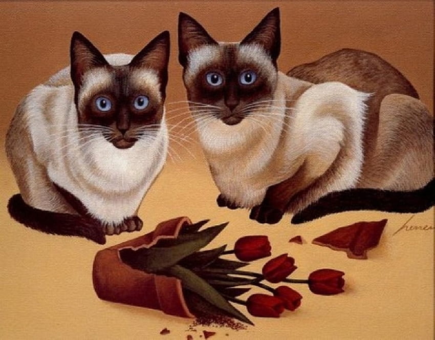 Circumstantial evidence, animals, Siamese cats, cats, funny, flowers, tulips HD wallpaper