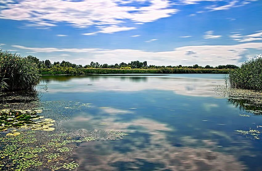 Hungary Tisza Nature Lake landscape graphy, Hungarian Landscape HD wallpaper