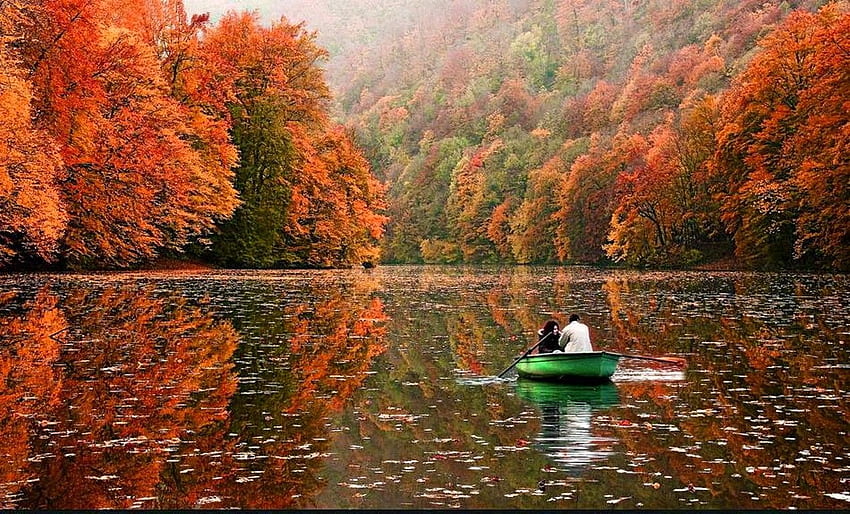 Lakes: Nature Fall Season Leaves Lity Falling Foliage Quiet Forest, Romantic Boat HD wallpaper