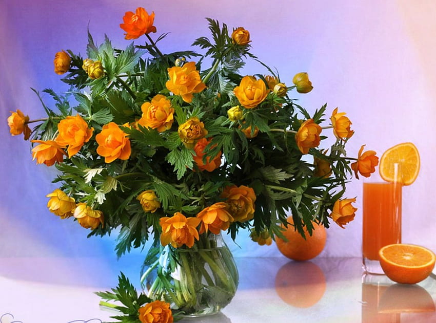Orange, juice, aroma, vase, taste, beauty, still life, glass, fruit, nature, flowers, vitamins, drink HD wallpaper