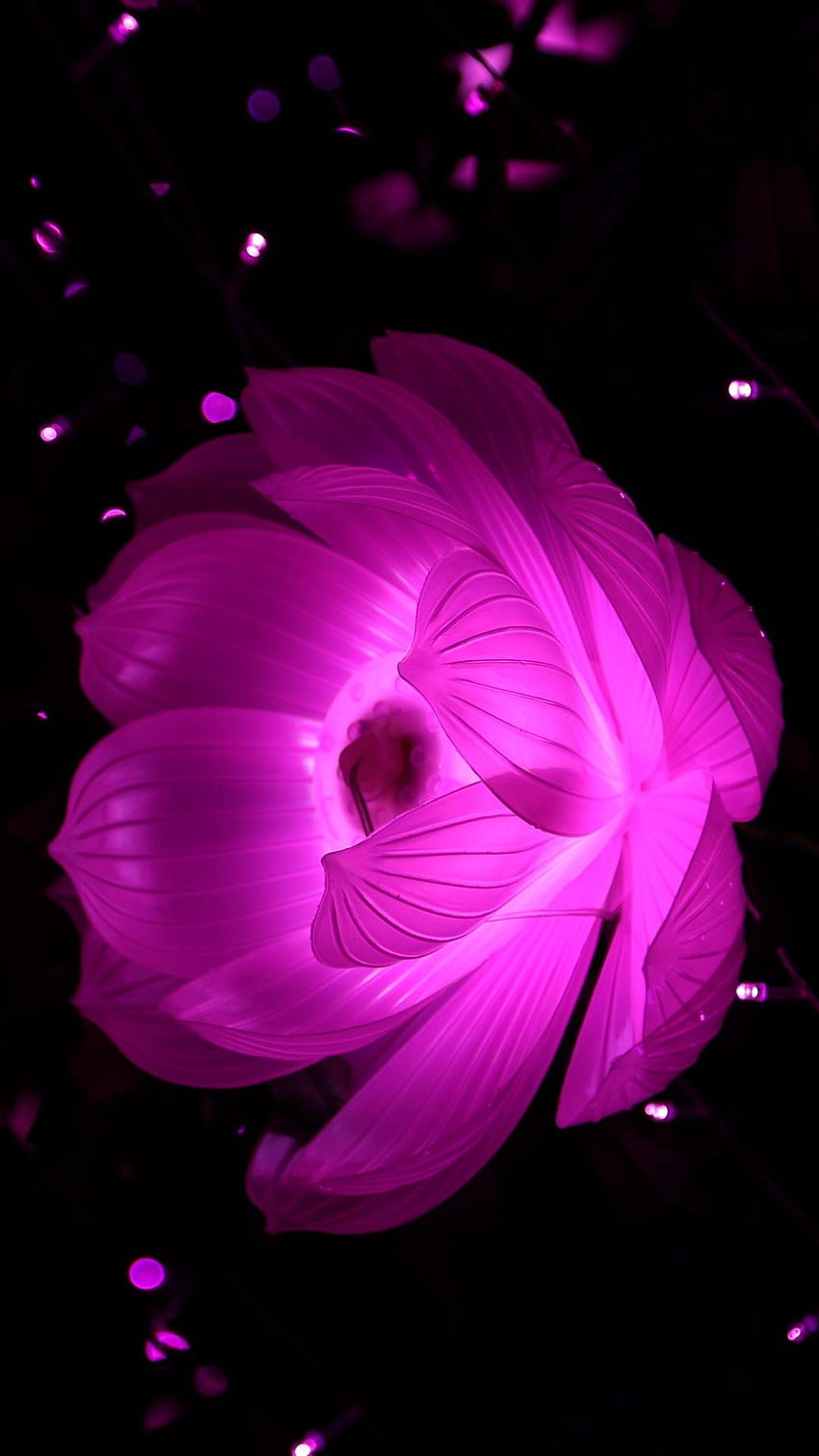 Pink And Black Flower, Black Pink Floral HD phone wallpaper | Pxfuel