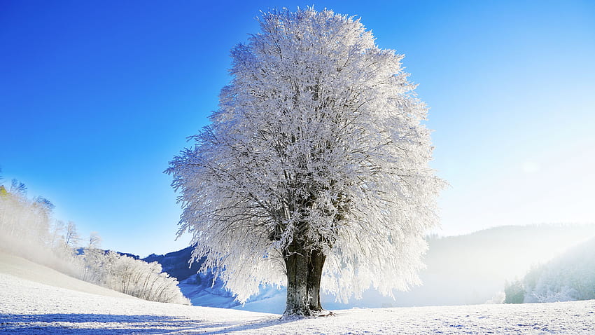 Идиличен пейзаж, зима ❤ за Ultra, 16 9 зима HD тапет
