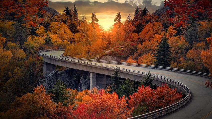秋にノースカロライナ州のブルーリッジパークウェイの高架橋、ブルーリッジ山脈が落ちる 高画質の壁紙