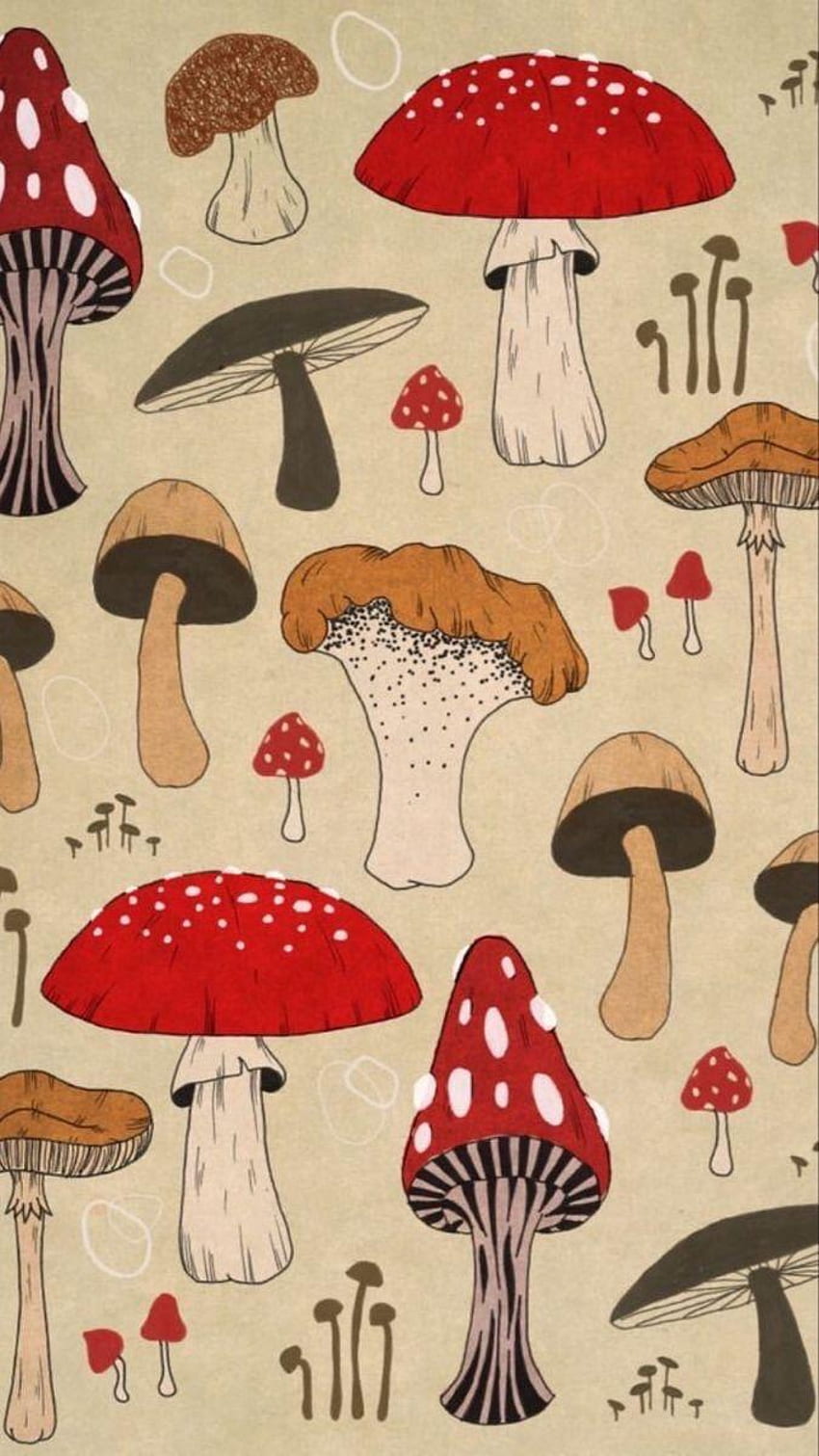 Red mushrooms  Mushroom drawing Mushroom wallpaper Mushroom art
