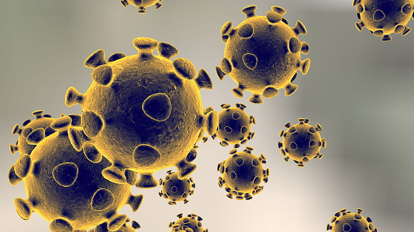 Corona Virus, Coronavirus HD wallpaper