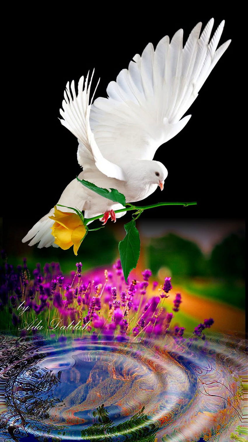 hermoso pájaro y flor fondo de pantalla del teléfono