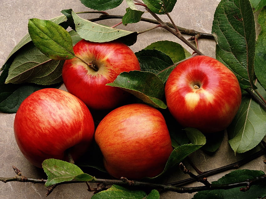 Fruits Food Apples HD Wallpaper Pxfuel