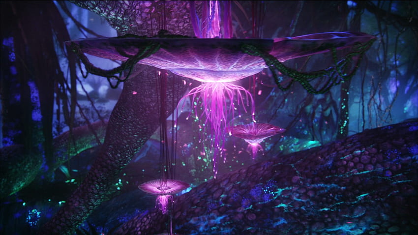 Video Game Avatar Frontiers of Pandora HD Wallpaper