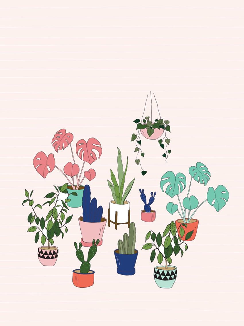 Urban jungle pot plant – Make and Tell, House Plant HD phone wallpaper