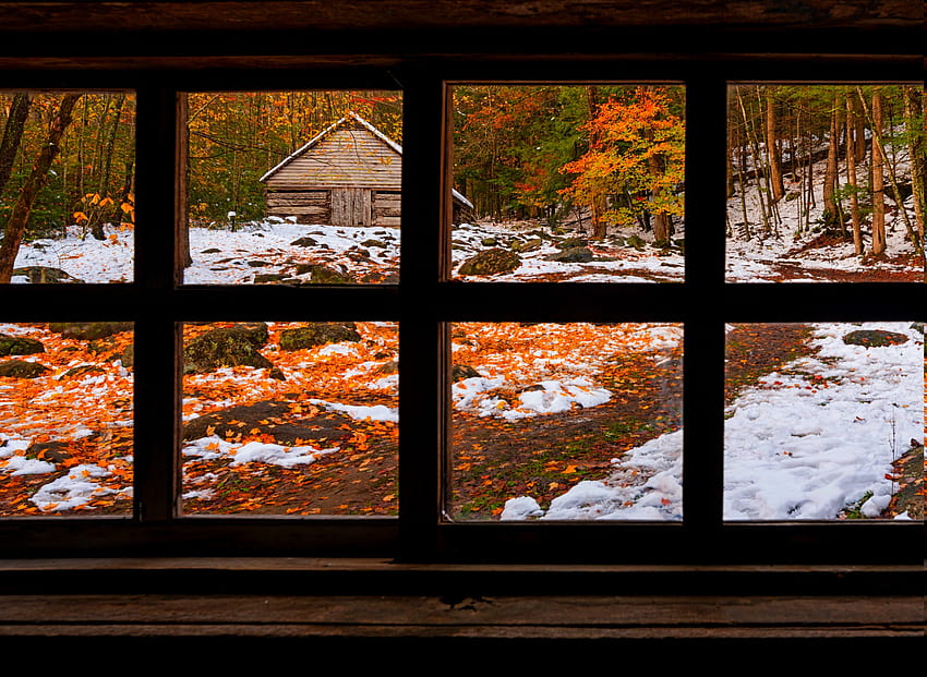 nature, Forest, Window, Fall, Snow, Winter / and Mobile Background, Snow Window HD wallpaper