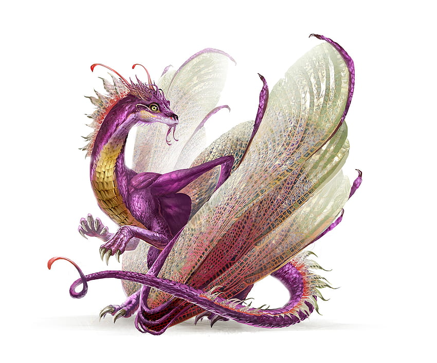 Fairy dragon, magdalena katanska, wings, fairy, pink, fantasy, cute, dragon HD wallpaper