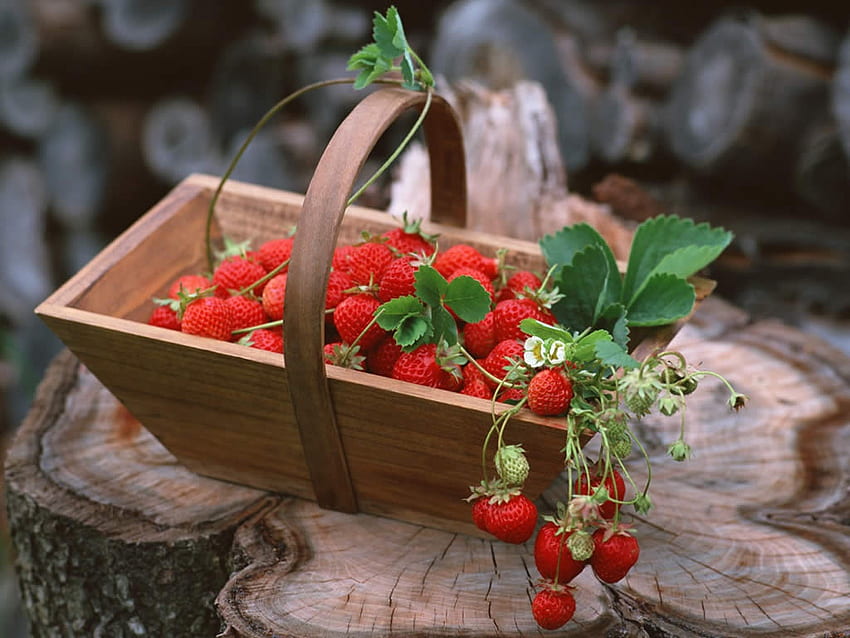 strawberry, basket, wood, red, fruits, fresh HD wallpaper