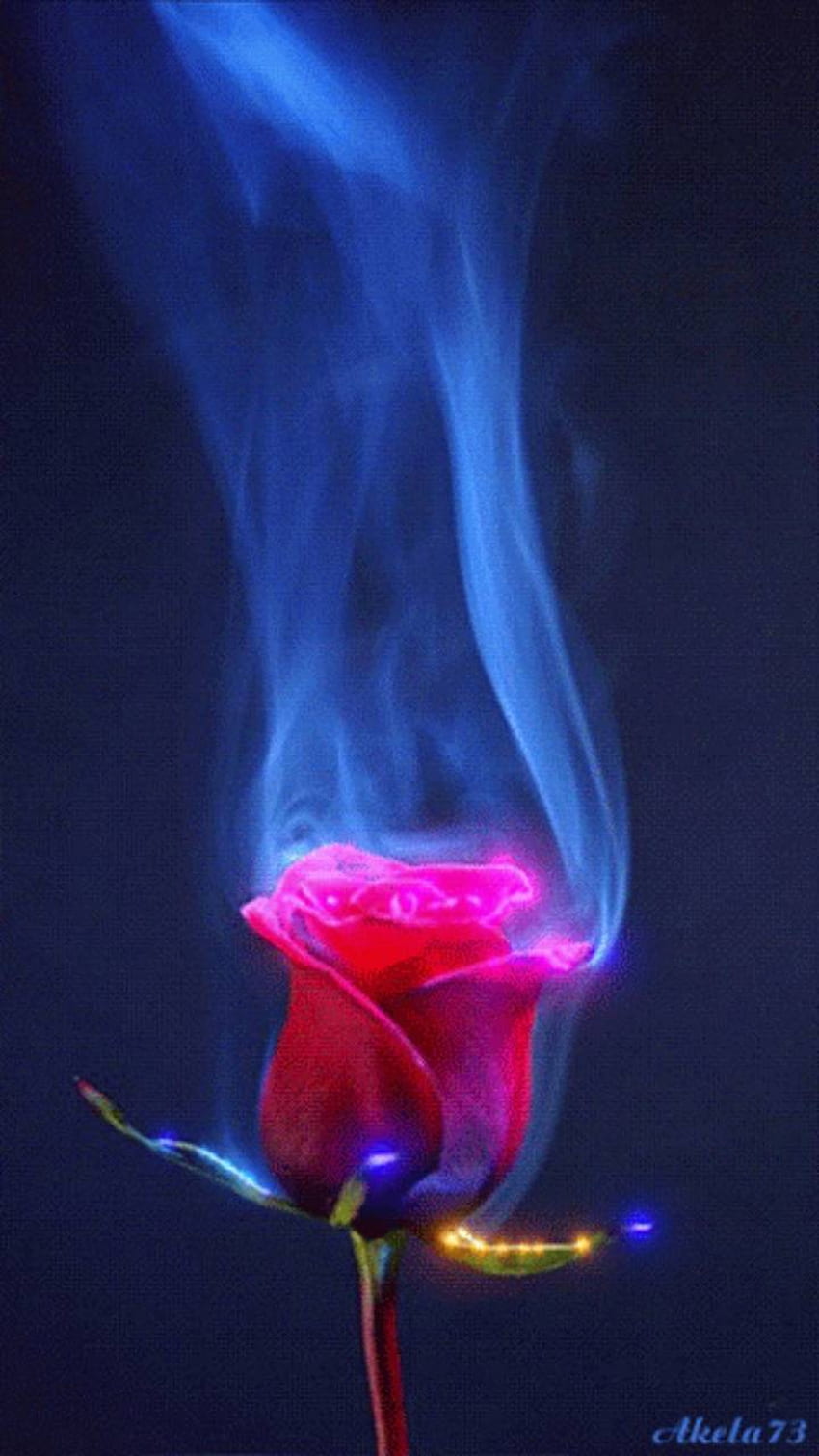 Free Photo | Aesthetic burning rose flower, realistic flame effect on dark  background