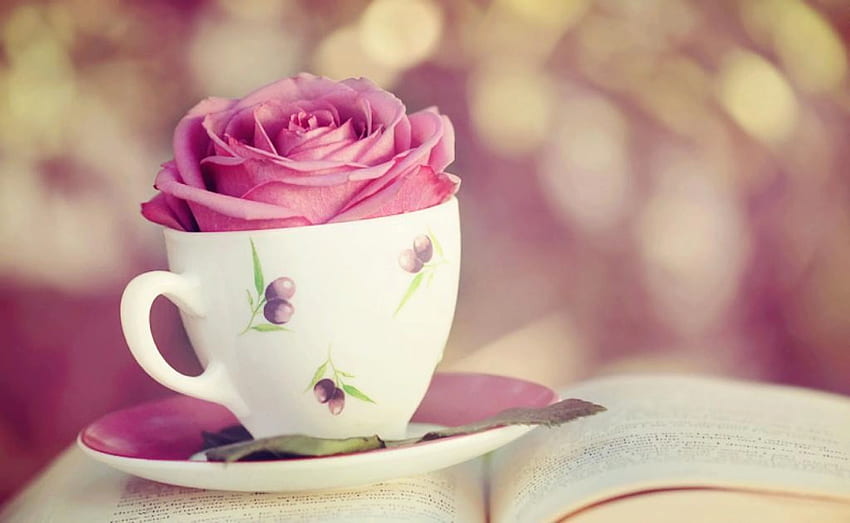 flower beautiful story page plate book cute beauty lovely cup love HD wallpaper
