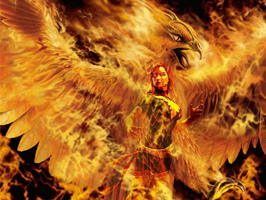 Phoenix Phoenix and background. Phoenix , Mythical creatures, Fire bird, Mythical Phoenix HD wallpaper