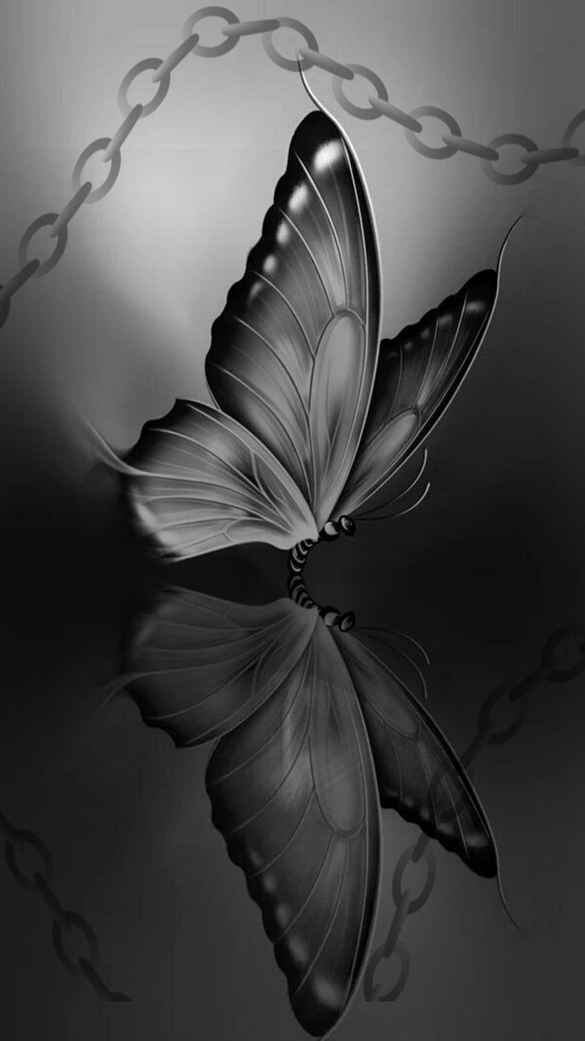 Butterfly, dark HD phone wallpaper