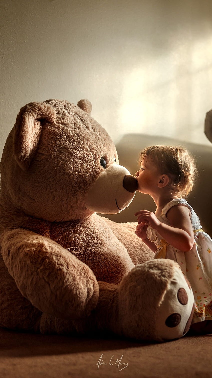 Beautiful Teddy Bear, Cute, Brown Toy HD phone wallpaper | Pxfuel