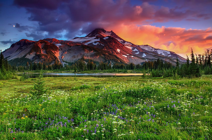 Prairie de montagne, paysage, prairie, belle, herbe, montagne, fleurs sauvages, nuages, ciel, pic, belle, coucher de soleil Fond d'écran HD