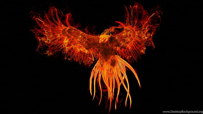 Phoenix, Bird, Digital art, And Stock. Background, Mythical Phoenix HD wallpaper