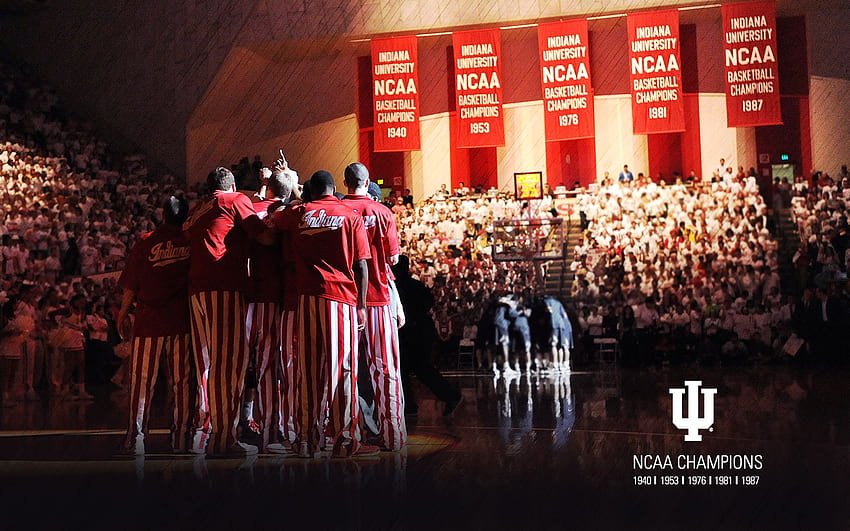 indiana university the basketball team went undefeated my senior year [] for your , Mobile & Tablet. Explore IU Basketball Hoosiers. IU Basketball Hoosiers, IU, Indiana University Basketball HD wallpaper
