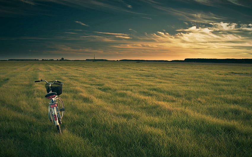 Nature, Grass, Field, Evening, Bicycle HD wallpaper