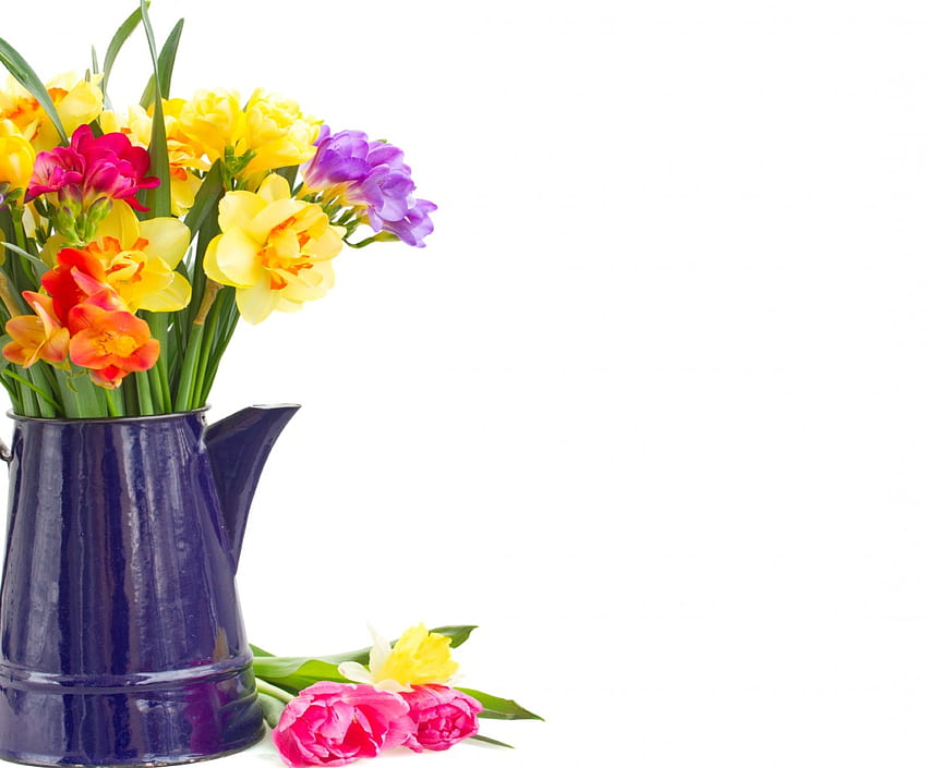 Bunga Musim Semi, karangan bunga, daffidil, bunga, musim semi Wallpaper HD