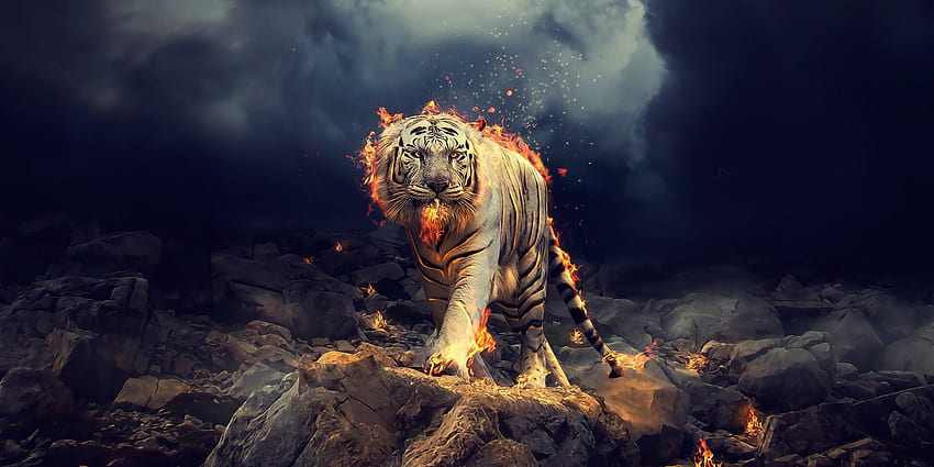 White Tiger Fantasy Fire Rocks Walking Majestic Clouds Design HD  wallpaper  Pxfuel