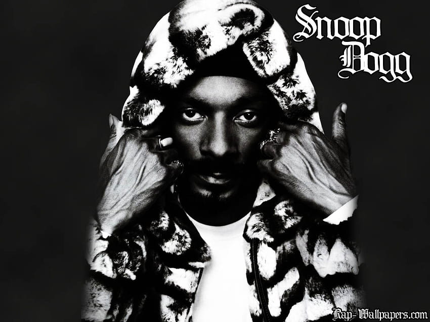 Snoop Dogg Music, Snoop Dogg PC HD тапет