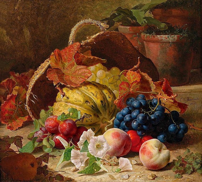 Eloise Harriet Stannard (1829-1915) *Stilleben mit Früchten und Konvulvulus, Traube, Eloise Harriet Stannard, Kunst, Malerei HD-Hintergrundbild