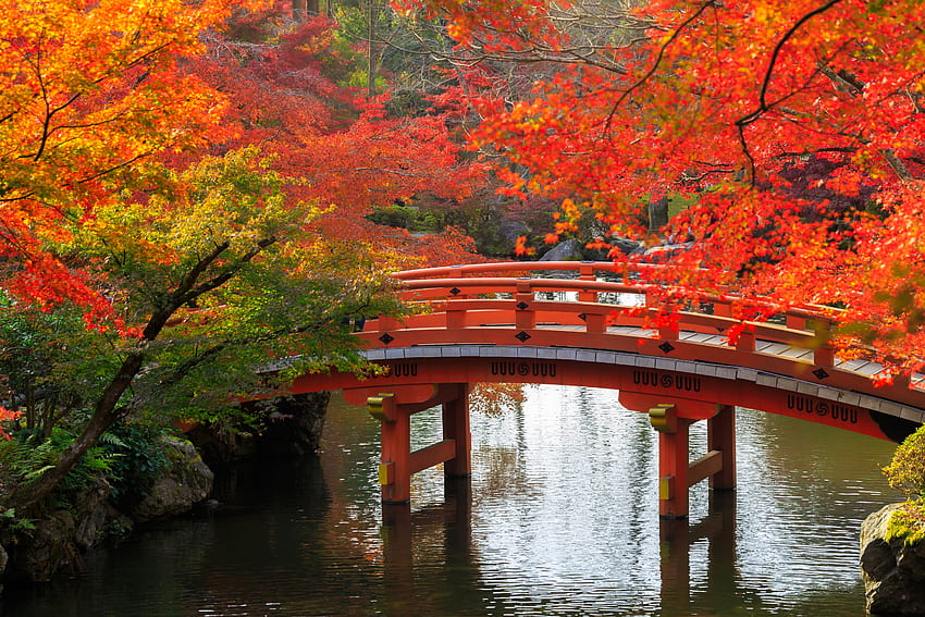 Bridge In Japanese Garden Retina Ultra - Fall Japan - & Background , Japan HD wallpaper
