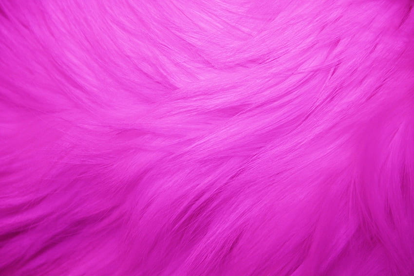 ピンクの毛皮 高画質の壁紙