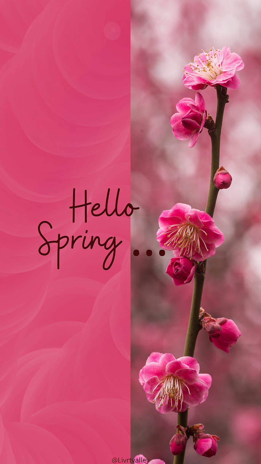 temporada de primavera, clima fondo de pantalla del teléfono