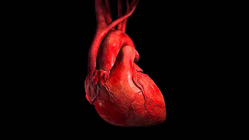 Cardiologia, Cardiochirurgia Sfondo HD