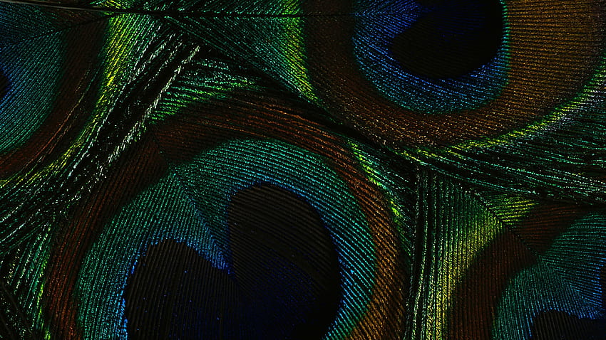 abstrakte grüne Schlange HD-Hintergrundbild