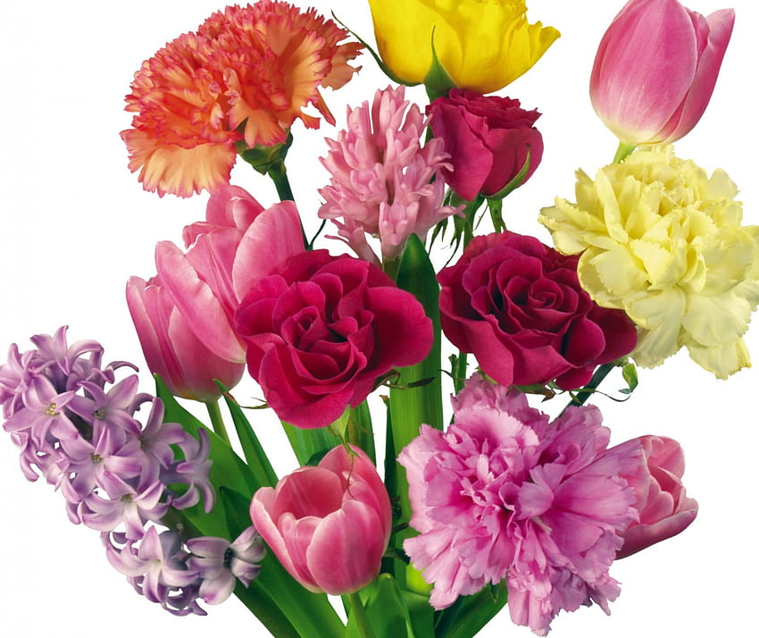 A Rainbow of Flowers, batang, boquet, warna, ikat, kelopak bunga, bunga, batang, warna, oranye, daun bunga, ungu, merah muda, cantik, ungu, kuning, merah, bunga Wallpaper HD