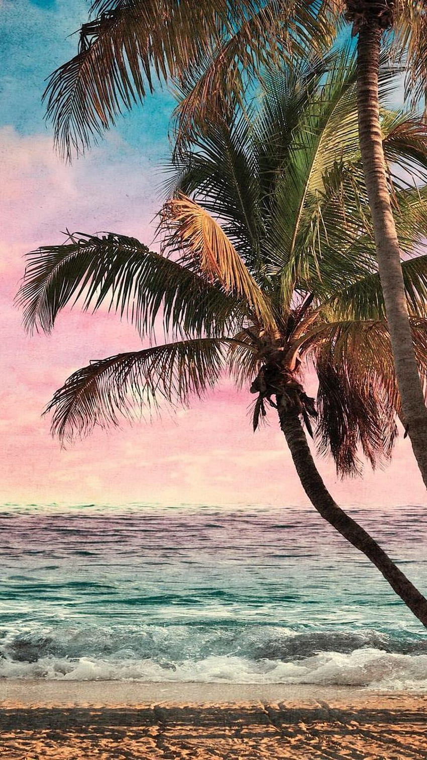 Best . iPhone background. iphone summer, Beachy , Palm trees ...