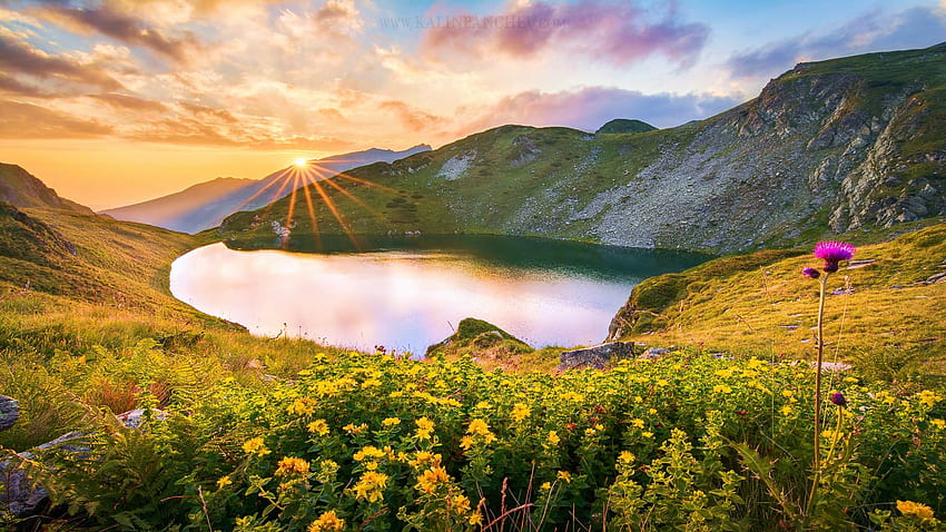 リラ山脈の湖、ブルガリア、ワイルドフラワー、風景空、丘、雲、風景、花、日の出 高画質の壁紙