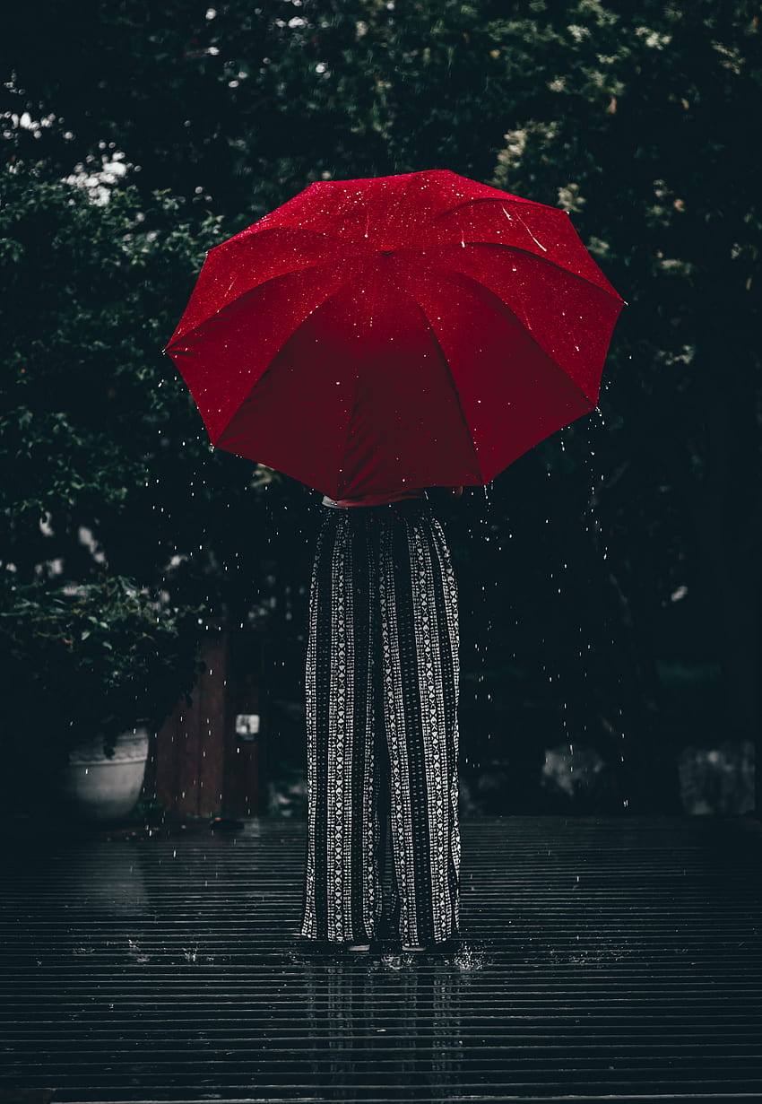 Rain, , , Girl, Umbrella HD phone wallpaper