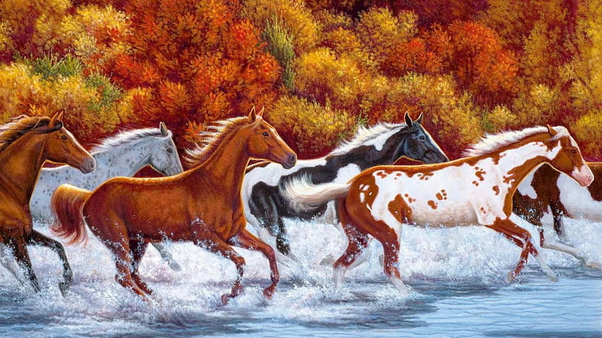 CABALLOS, animal, río, correr, caballo fondo de pantalla
