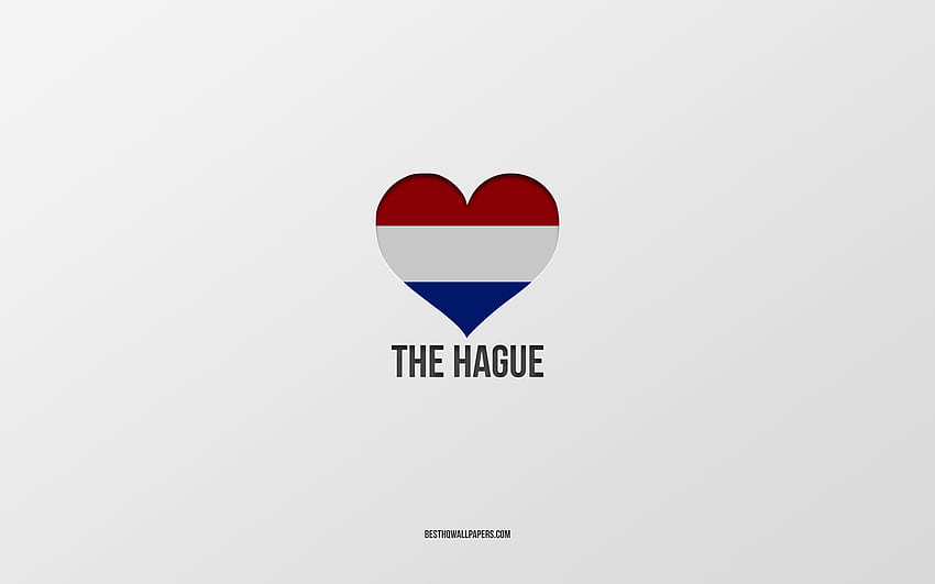 I Love The Hague, Dutch cities, Day of The Hague, gray background, The Hague, Netherlands, Dutch flag heart, favorite cities, Love The Hague HD wallpaper